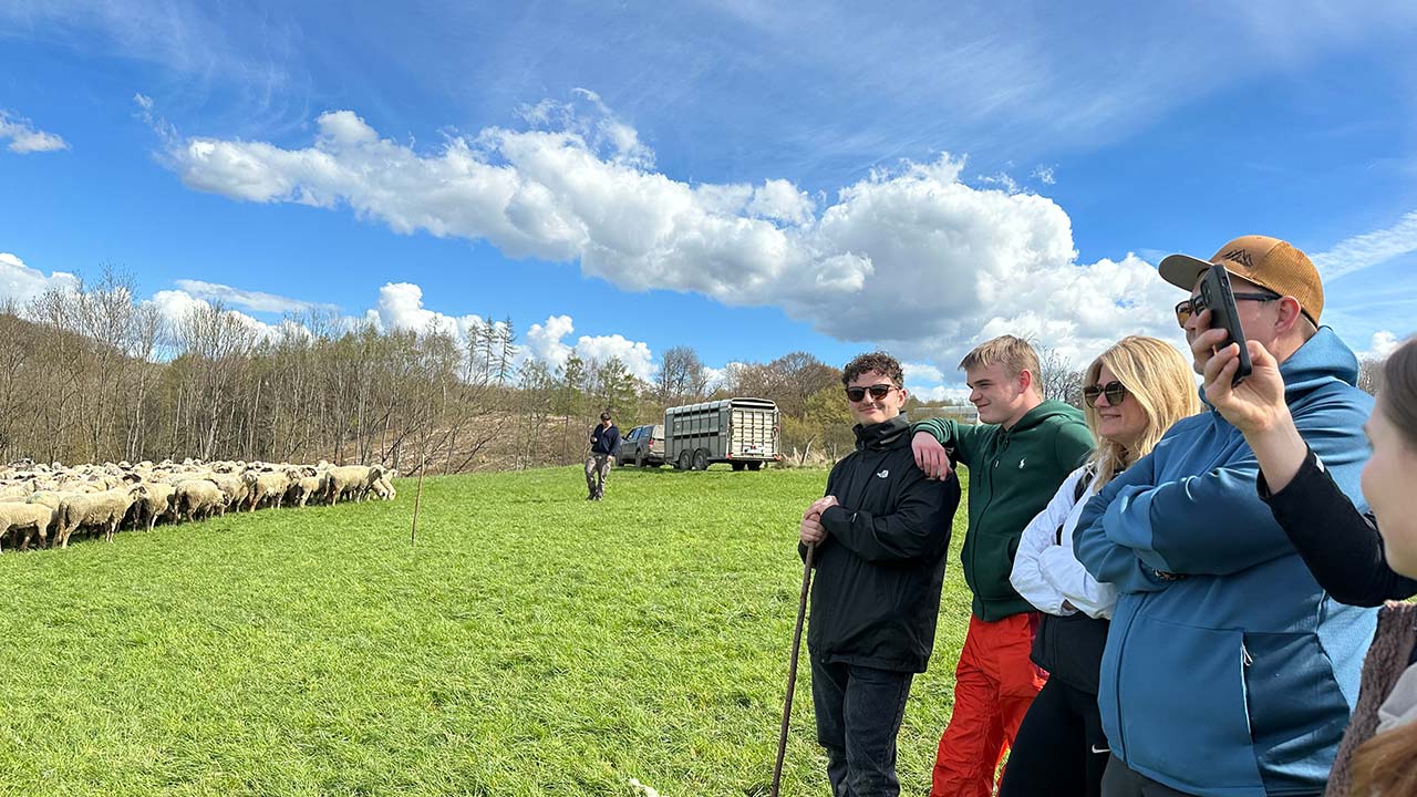 VanDeBord Team Schafe hueten